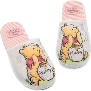 Disney Winnie The Pooh Slippers voor vrouwen | Dames Volwassenen Poeh Beer OF Eeyore Huis Schoenen Merchandise Voor Haar | Schuim Slip On
