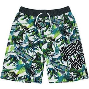 Jurassic World Swim Shorts T Rex Dinosaur Boys Elastische tailleband zwembroekje 4-5 jaar