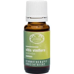 RATHAUS APOTHEKE WIEN geconcentreerd knopextract - Gemmotherapie - Vitis vinifera - De wijnstok, zaden - 15 ml - Detox en regeneratie