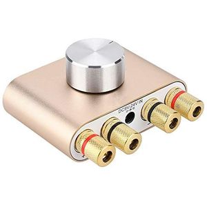 Mini eindversterker bluetooth stereo hifi digitale versterker 100W audiospeler met voeding goud