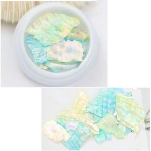 1 Pot Mix 2 Kleurrijke Onregelmatige Natuurlijke Zeeschelp Dunne Abalone Plak Pallitte Nail Art Pailletten Decals Manicure Accessoires Tip-2SBKP04