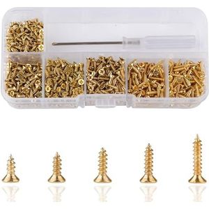 Roosea 1000 Stuks Kleine Schroef Platte Kop 5/6/7/8/10 mm Platte Kop Cross Zelftappende Schroef met schroevendraaier voor DIY Scharnier Poppenhuis Lade,ect（Goud）