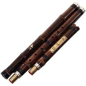 bamboe fluit Natuurlijke Verticale Bamboefluit Xiao Muziekinstrument F/G Key Klarinet Professionele Binodale Enkele Plug Flauta (Color : G)
