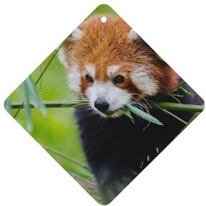 6Pcs Opknoping Luchtverfrissers voor Auto Diffuser Ornamenten Rode Panda op Boomtak Vernieuwen Lucht Geurig voor Meisjes Vrouwen Auto Interieur Gift Set Grappige Auto Accessoires Decor Lavendel