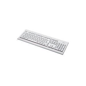 Fujitsu KB521 CN toetsenbord USB Grijs