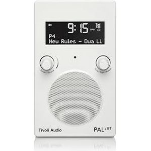 PAL+ BT Draagbare Bluetooth DAB+ / FM-radio (Wit)
