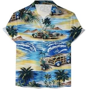 Heren Hawaiiaans Overhemd Met Korte Mouwen Zomers Bloemen Strand Funky Feest Overhemd heren t-shirt(Multi-colored C,5XL)