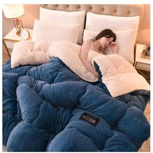 SayfuR Super Zacht Pluizig Dekbed - Dik Dubbelzijdig Fluwelen Deken voor Winter, Verdikt Warm Pluche Effen Kleur Donsdeken, C, 150 x 200 cm/2,5 kg