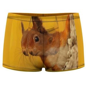 Grappige Rode Eekhoorn Heren Boxer Slips Sexy Shorts Mesh Boxers Ondergoed Ademend Onderbroek Thong