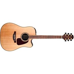 Takamine GD93CEN - Akoestische gitaar