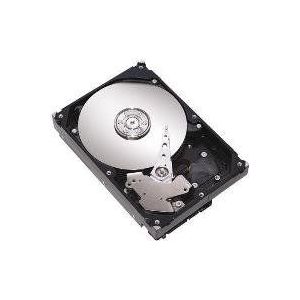 Fujitsu HDD SAS HOT PLUG 600GB 3GB/S 10K, 38018661 (3GB/S 10K)