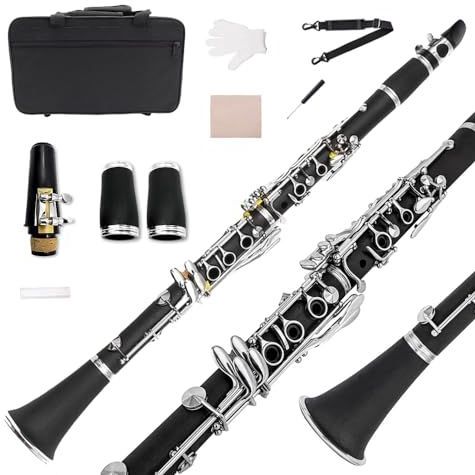 Yinfente Klarinet klarinet voor beginnende studenten klarinet met klarinet koffer, klarinet reinigingskit, klarinet mondstuk, kurk vet voor klarinet, eboniet klarinet (Bb)