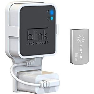 256 GB Blink USB-flashdrive voor lokale video-opslag met Blink Sync Module 2-houder