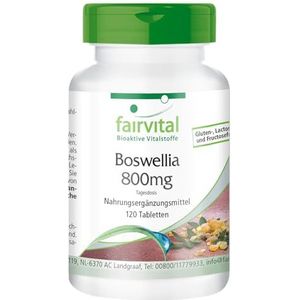 Fairvital - Wierooktabletten - Boswellia Serrata-extract 800 mg - Veganistisch - 120 tabletten