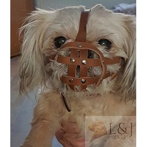 L&J Pets Uk Lederen hond muilkorf voor Shih Tzu en andere platte gezicht korte snuit hond