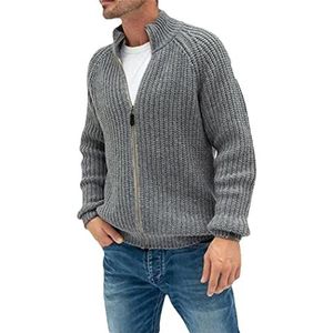 WEGUKRI Trendy Ritssluiting Casual Cardigan Sweater Herfst Winter Mannen Sweater Stand Kraag Knitwear, Grijs, L