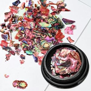 1 pot Nail Holografische Abalone Schelp Plakjes 3D Glitter Ultradunne Pailletten Vlokken Manicure Paillette Schelp Vlokken-5