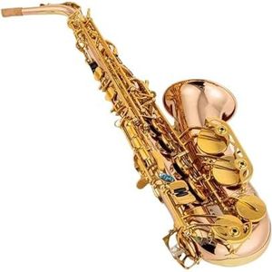 voor Beginner Saxofoon Altsaxofoon Fosforbrons Koperen Sax Altmondstuk Met Doos (Color : Light Grey)