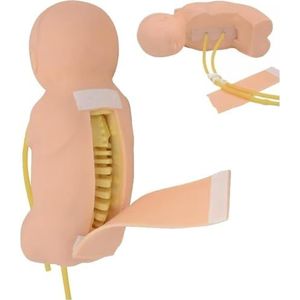 Lumbaalpunctiemodel for baby's - Lumbaalpunctie-trainingssimulator, 1:1 simulatiemodel for de beoordeling van de training, for artsen, verpleegkundigen, studenten, praktijk- en leermiddelen
