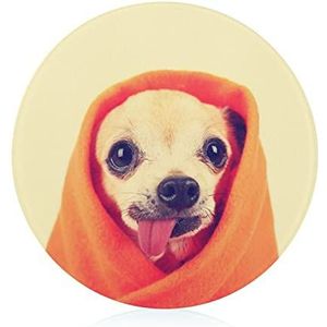 Leuke Chihuahua Snijplank Gehard Glas Snijplank voor Keuken Restaurant