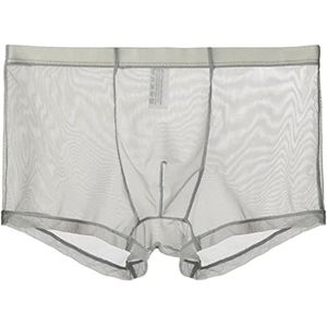 Men'S Underwear 2Pcs Mens Boxers Shorts Ultra-Thin Transparent Ice Silk High-Stretch Men Underwear Panties-Gray,Xl