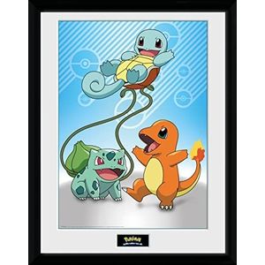 GB eye Pokémon Kanto Starters 30 x 40 cm ingelijste verzamelaar print