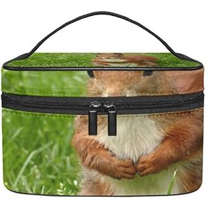 Leuke eekhoorn patroon make-up organizer tas, reizen make-up tas organizer case draagbare cosmetische tas voor vrouwen en meisjes toiletartikelen, Meerkleurig, 22.5x15x13.8cm/8.9x5.9x5.4in