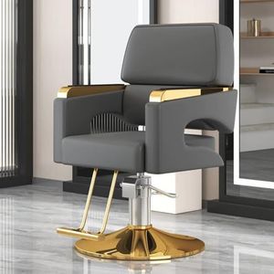 PA-DABAOO Kappersstoelen Voor De Kapperszaak, Robuuste Haarstylingstoelen, Met Stabiele Basis, 360 Graden Verrijdbaar, Klassieke Salonstoel Voor Styling,Grijs