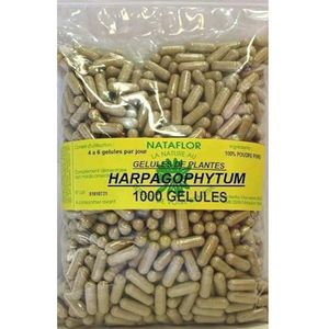 France Herboristerie Harpagophytum Bio 300 mg 1000 capsules