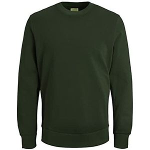 JACK & JONES Jjeholmen Sweat Crew Neck Noos Herentrui