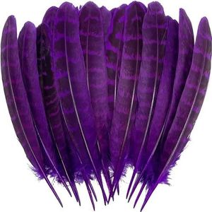20 stuks vleugels van engel grote veren fazant kip pluimen carnaval hoofdtooi diy bruiloft decor ambachten accessoires en materialen-paarse veren-20 stuks