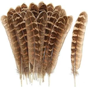 20 stuks vleugels van engel grote veren fazant kip pluimen carnaval hoofdtooi diy bruiloft decor ambachten accessoires en materialen-natuurlijke veren-20 stu