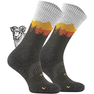 TODO BP Merino Wandelsokken voor heren, dames en kinderen, trekkingsokken van merinowol, ademend, anti-blaren, geproduceerd in de EU, 35-38 EU