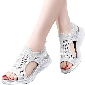 GeRRiT Casual mesh sandalen Sneakers for dames Wandelschoenen Sportsandalen Zachte zool Bovenkleding Mode Uitgeholde Romeinse Fee Platform Sandalen Dames elastische instapper Casual mesh sandalen (Co