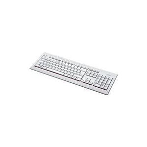 Fujitsu KB521 FR toetsenbord USB AZERTY Frans Grijs