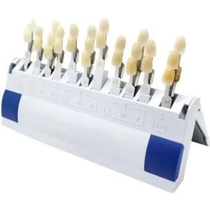 29 Kleur Tanden Whitening Bleken Schaduw Gids 3D Tandheelkundige Vergelijking Hars Model Tand Gids Schaduw Gids