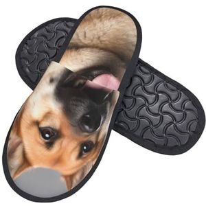HerfsT Harige pantoffels met hondenprint voor dames en heren, pluizige traagschuimpantoffels winter pluche huispantoffels M, Zwart, Medium