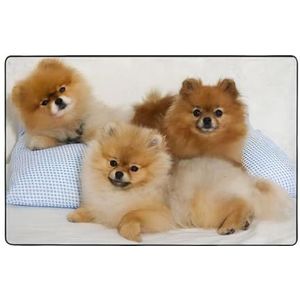 OPSREY Leuke pomeranian gedrukt tapijt zachte gebied tapijt antislip vloermat pluizige indoor decoratieve tapijt