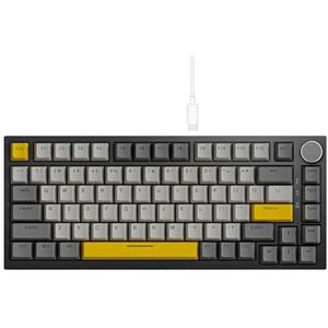 QPSJXN Mechanisch toetsenbord met Bluetooth 5.1 draadloos en C-bedradingsopties, aanpasbaar met knop-wisselafdichting met AK820 en AK820 Pro (AK820 grijs)