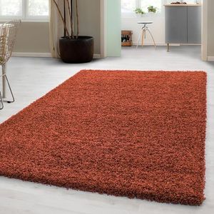 Carpetsale24 - Hoogpolig Vloerkleed - Terra - Effen - Shaggy - Modern - 300 x 400 cm