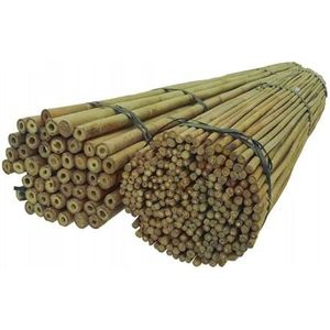 DIXIE STORE bamboestokken | Bamboe stokken bloemenstandaard set | Heavy duty 180cm x 12-14mm Pak van 100 veelgebruikte plantenstandaards Natuurlijke kleur