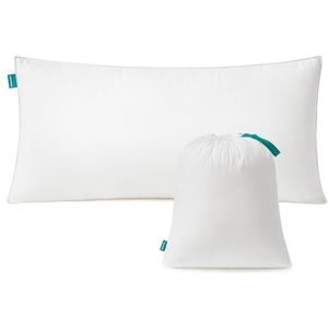 SONGMICS Hoofdkussen 40 x 80 cm, vulling 800 g, stofoppervlak van zacht, geborsteld polyester, kussen, machinewasbaar op 60°, met opbergtas, wolkenwit TBP001W01