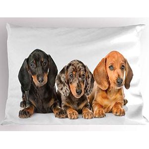 ABAKUHAUS Teckel Siersloop voor kussen, Verschillende Kleur Dogs Lays, standaard maat bedrukte kussensloop, 75 x 50 cm, Dark Taupe Taupe