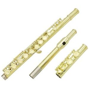 Fluit 16-gaats gesloten gat fluit C-sleutel Professionele zilveren fluit Muziekinstrument Fluitkoffer Zorg Stok Handschoenen Accessoires (Color : Gold)