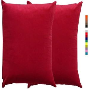 Sofa Kussensloop 20x30 2 stuks 50x70 60x80 cm Kussenhoezen Fluwelen Kussenslopen Rechthoek Standaard King Queen Met Rits Voor Decoratief Kussen Bed Sofa Woonkamer (Color : 1 Wine Red, Size : 50x70 c