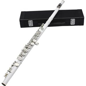 fluit voor beginners 16-gaats C-sleutel gesloten open gaten fluit kleurrijke wit roze fluit voor beginners en beginners met speelinstrumenten (Color : White)
