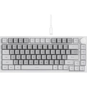 QPSJXN Mechanisch toetsenbord met Bluetooth 5.1 draadloos en C-bedradingsopties, aanpasbaar met knop-wisselafdichting met AK820 en AK820 Pro (AK820 wit grijs)