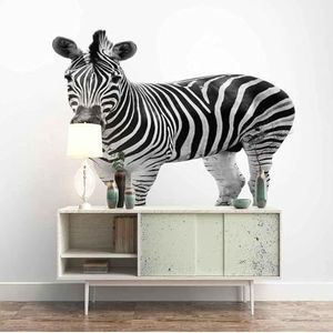 3D Woonkamer Muurschildering Home Decor Dier Zebra Landschap Slaapkamer Modern Behang-150Cm×105Cm