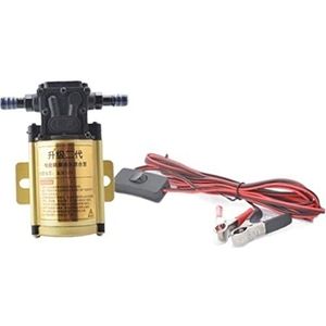 12V 24V elektrische benzine-dieselpomp Krachtige universele zelfaanzuigende pomp Wetenschappelijke laboratoria(Golden 12V,Pump 4m line)