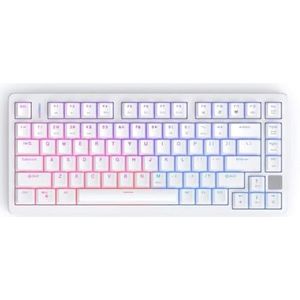 QPSJXN Wired toetsenbord met magnetische schakelaar, snelsluiter, hot plug, compatibel met X86 Single Mode